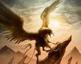 Dungeon's & Dragons